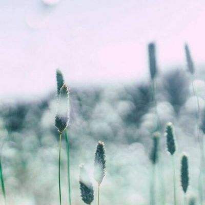 太阳集团电子游戏